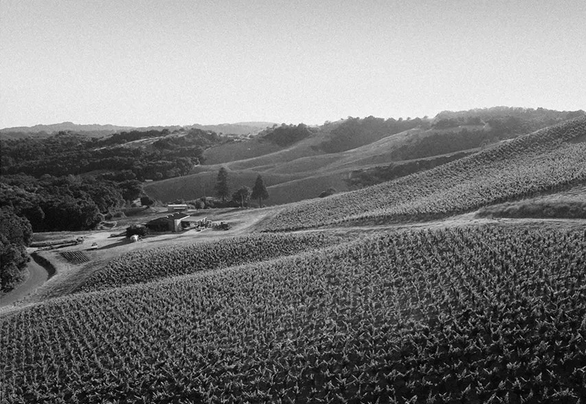 West Paso Robles Estate Vineyard