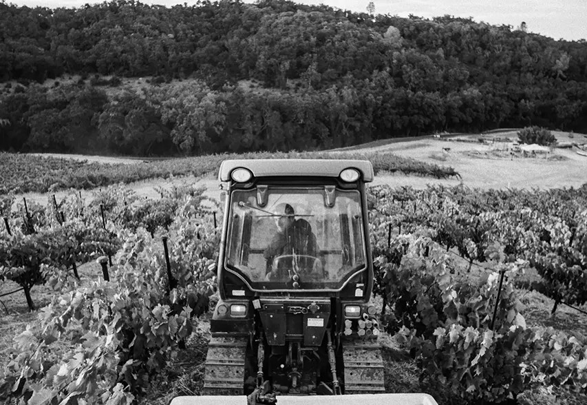 West Paso Robles Estate Vineyard