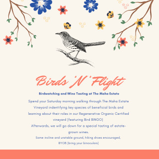 Birds 'N' Flight