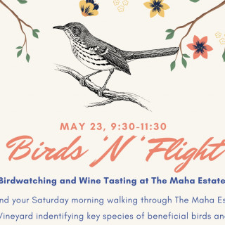 Birds 'N' Flight 5/23