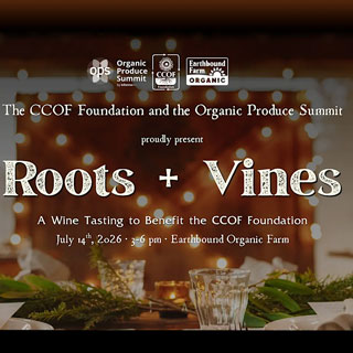 Roots + Vines
