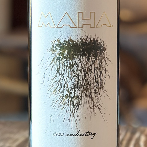 2020 UNDERSTORY